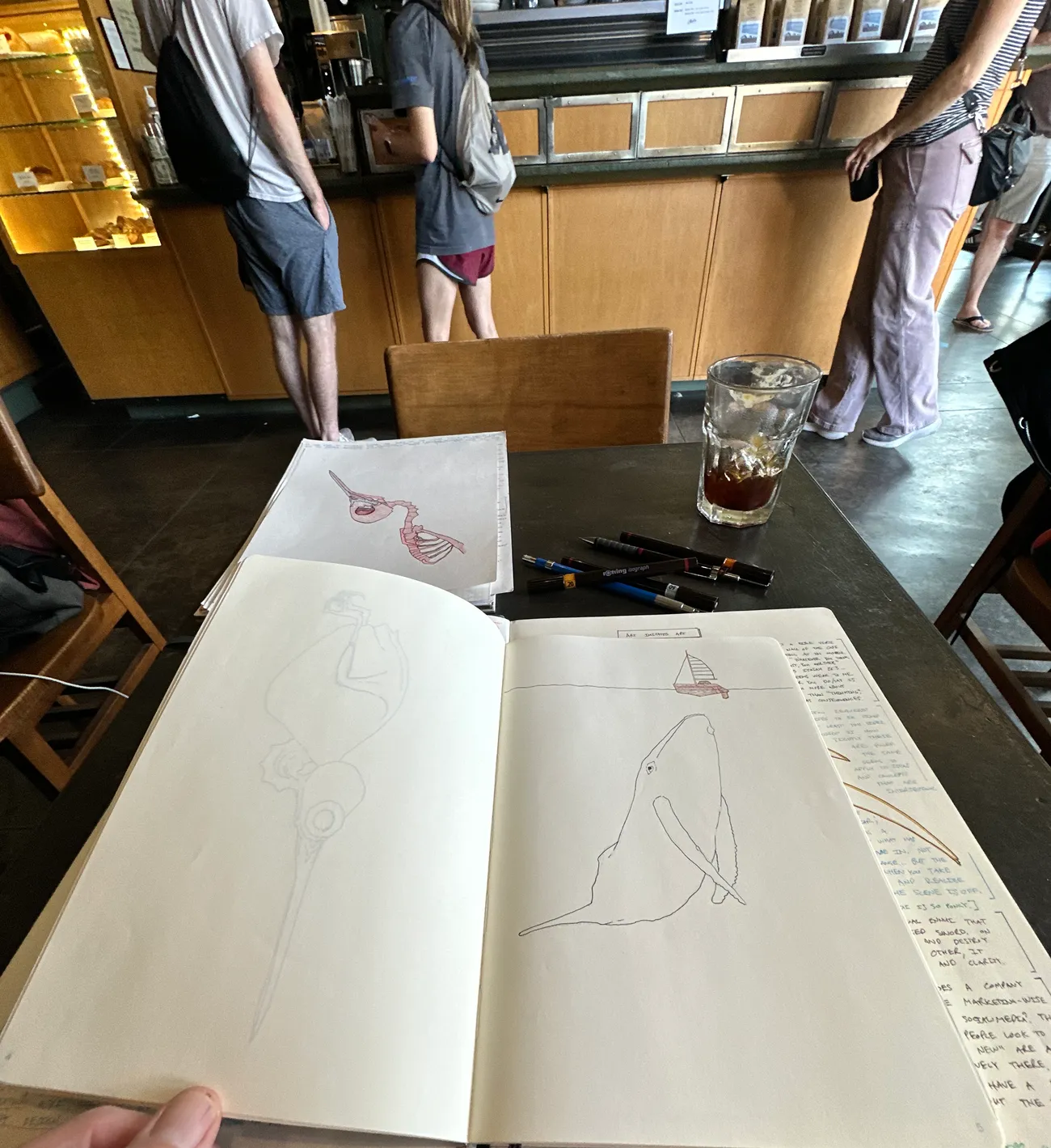 An open sketchbook on a cafe table with a pencil drawing of the whale, pens and an iced coffee beside it, the cafe counter behind.